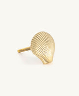 Abby Shell Knob Brass