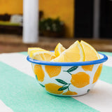 BON APPETIT ENAMEL BOWL LEMON 12CM