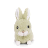 Baby Bunny Green Lime 15 cm