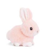 Baby Bunny Peach 15 cm