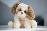 Buddylina puppy