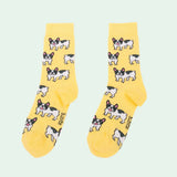 Bulldog Socks