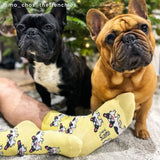 Bulldog Socks