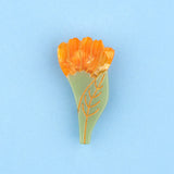 CALENDULA BARRETTE