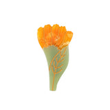 CALENDULA BARRETTE