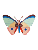 Cattleheart Butterfly