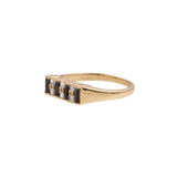 Ch?rie Goldplated Ring Bar Black Clear