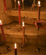 Chirpy Candle Snuffer