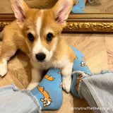 Corgi socks