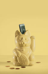 Donkey Lucky Cat Money Box Yellow