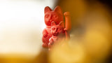 Donkey Lucky Cat Neon Orange