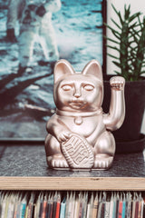 Donkey Lucky Cat Moonlight