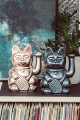 Donkey Lucky Cat Galaxy