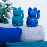 Donkey Lucky Cat Dark Blue