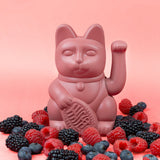DONKEY Lucky Cat Berry Red