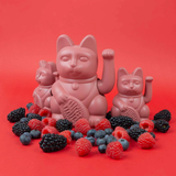 DONKEY Lucky Cat Mini Berry Red