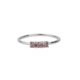 Jolie Ring Sterling Silver Bar Rhodolite