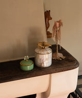 Lucky Clover Circus Box