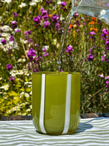 Maegen Atina Stripe Drinking Glass - Olive/White