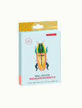 Madagascar Beetle