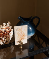 Marie Coral Card Holder