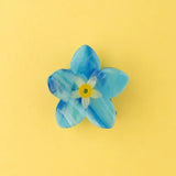 Myosotis hair clip