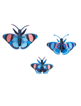 Peacock Butterflies, set of 3
