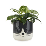 Plant Pot Kitty Black/White