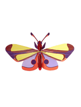 Purple Eyed Butterfly