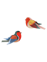 Robins