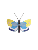 Small Insects - Yellow Monarch Butterfly