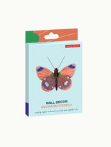Small Insects - Delias Butterfly