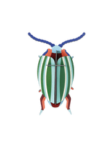 Small Insects - Rainbow Leaf Beetle