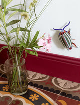 Small Insects - Rainbow Leaf Beetle