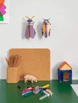 Small Insects - Violet Click Beetle