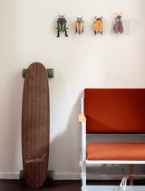 Small Insects - Mimela Scarab Beetle