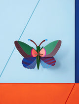 Medium Butterfly - Acacia Butterfly