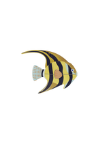 Small Sea Creature - Angelfish