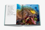 Saudi Arabia: Red
Sea, the Saudi Coast