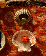 Scarlett Shell Bottle Opener