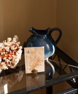 Scarlett Shell Card Holder