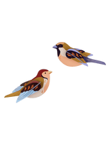 Sparrows