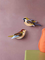 Sparrows