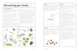 The Medicinal Garden