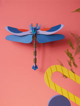 Big Insects - Blue Dragonfly
