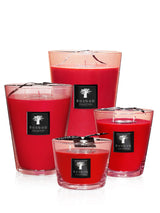 Baobab Collection Scented Candle - Maasai Spirit