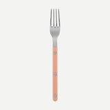 BISTROT SOLID - SALAD FORK - NUDE PINK