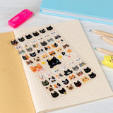 3D stickers - Quirky Cats 