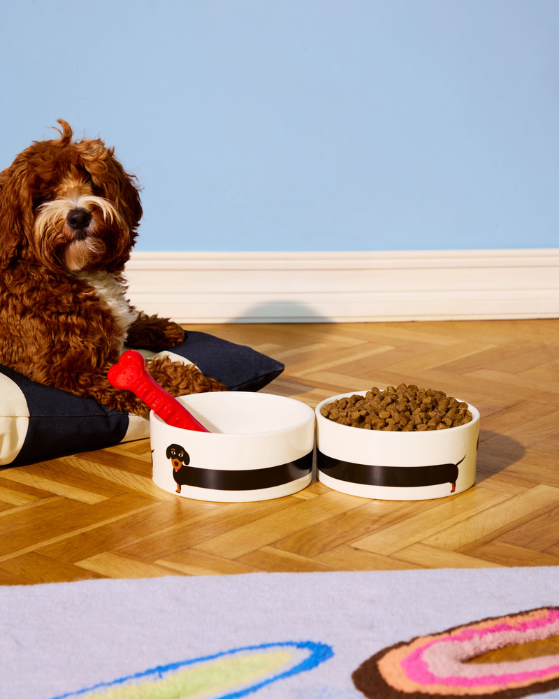 FLUID MARKET Dachshund Bowl