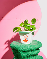 FLUID MARKET Vase Ramen Pot